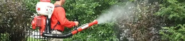 Mosquito control technician fogging shrubs and landscaping for mosquito treatment in El Paso, TX