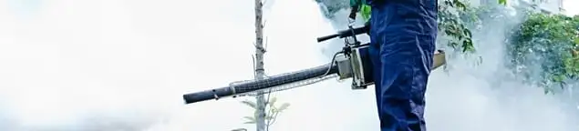 Pest control technician fogging an outdoor area for insect control in El Paso, TX