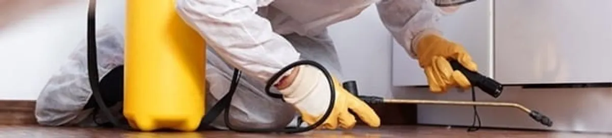 Roach exterminator treating cracks and crevices along kitchen baseboards in El Paso, TX